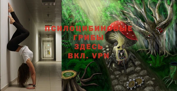 СК Абаза