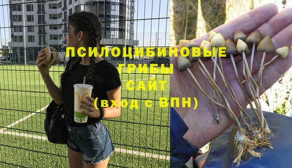 apvp Абинск