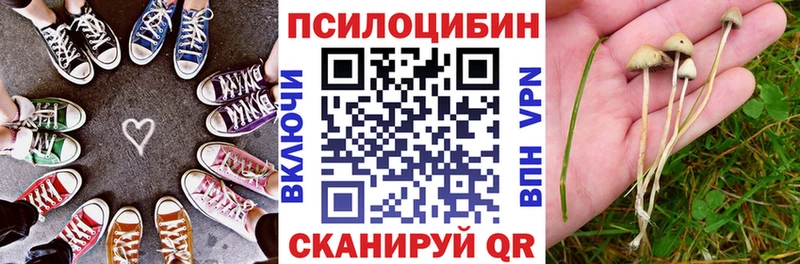 Псилоцибиновые грибы мухоморы Торжок