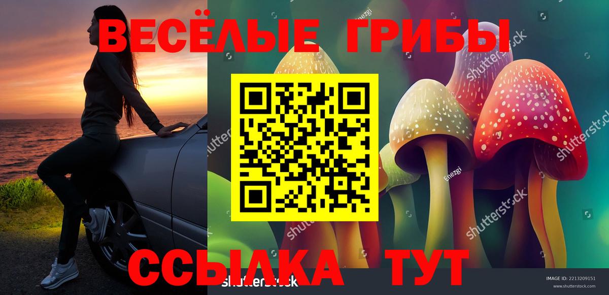 Торжок  Галлюциногенные грибы Psilocybe  Вход с VPN 